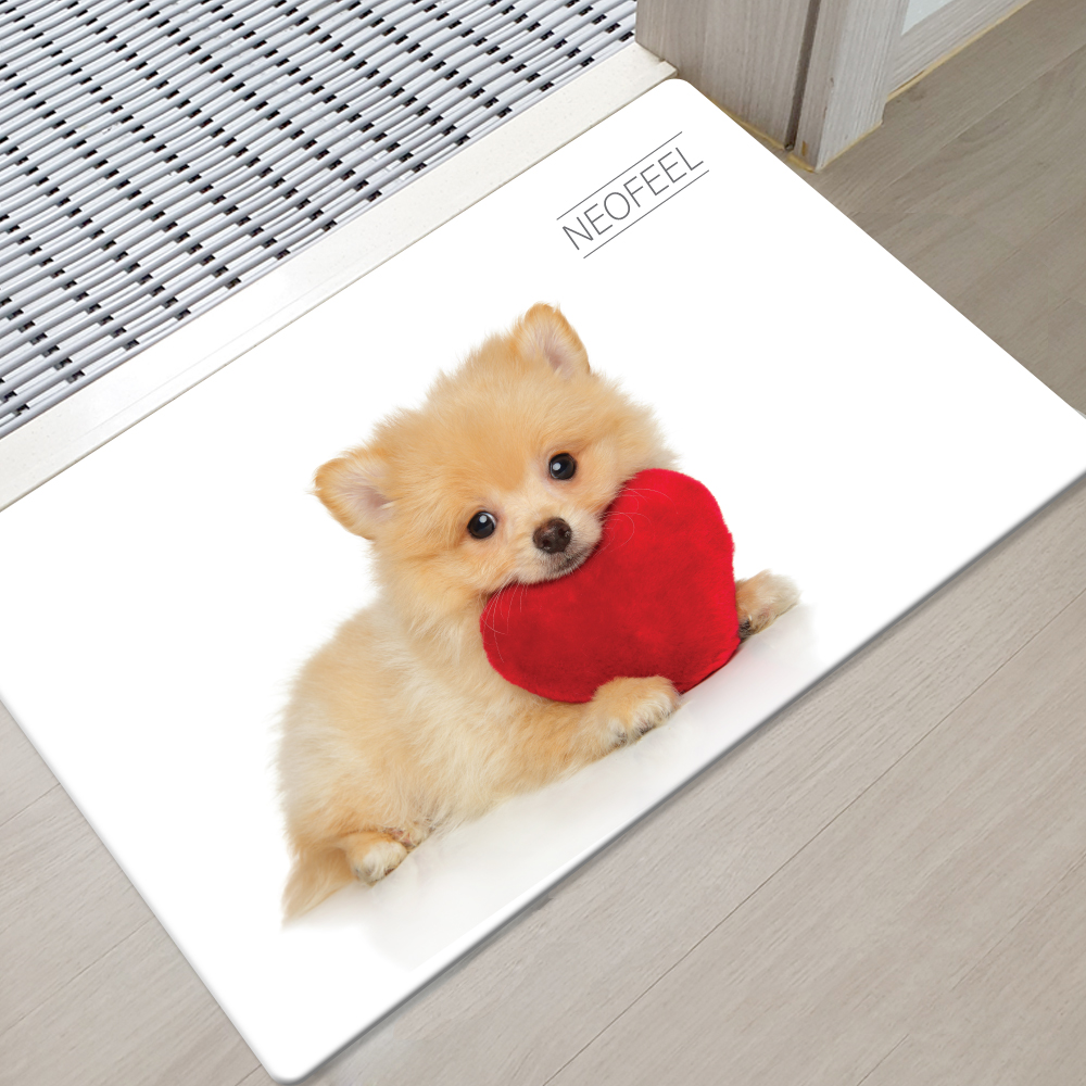 대형 규조토 발매트 구조토 발 매트 욕실 싱크대 주방 강아지 고양이 현관 발판 바닥