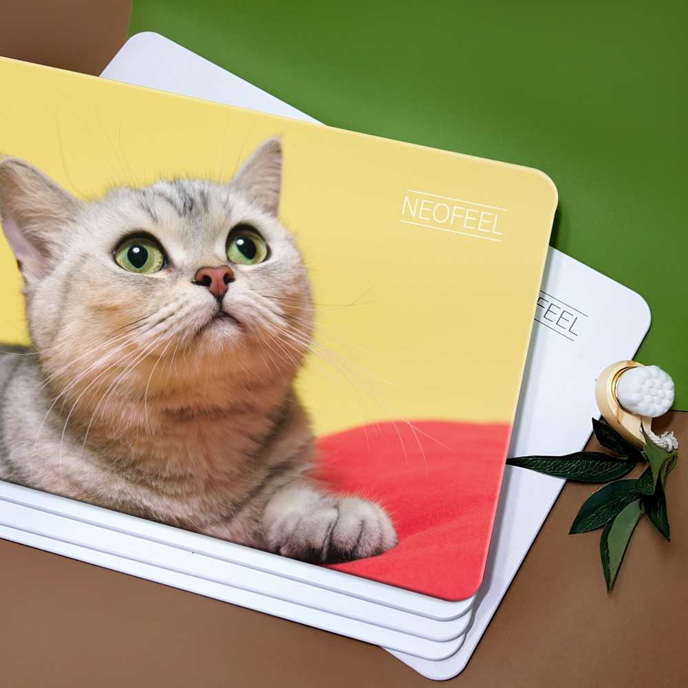 대형 규조토 발매트 구조토 발 매트 욕실 싱크대 주방 강아지 고양이 현관 발판 바닥