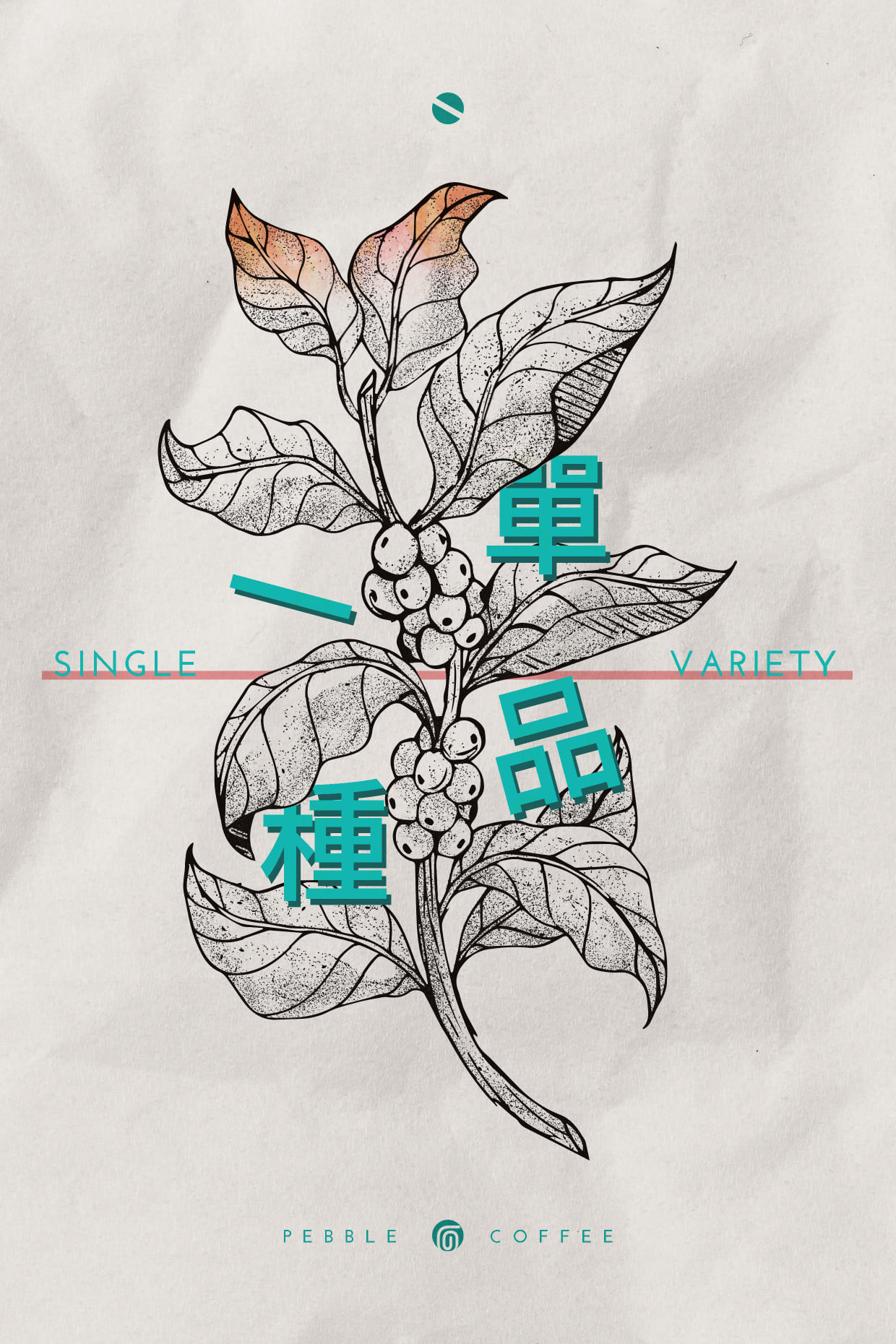 구지 우라가 싱글 버라이어티 74110 내추럴 G1 1KG (GUJI URAGA SINGLE VARIETY 74110 NATURAL G1 1KG)