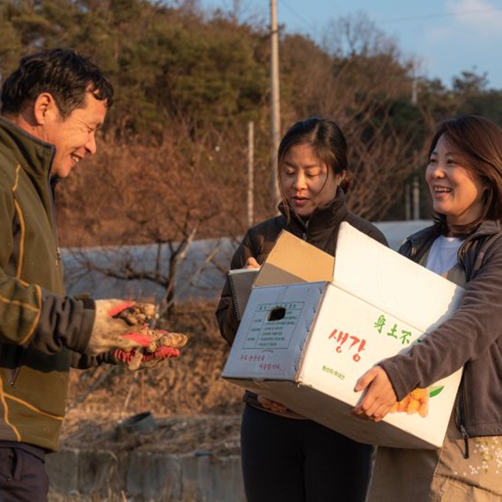 농부창고 생강청 220g 수제 국산 생강차 이미지 4