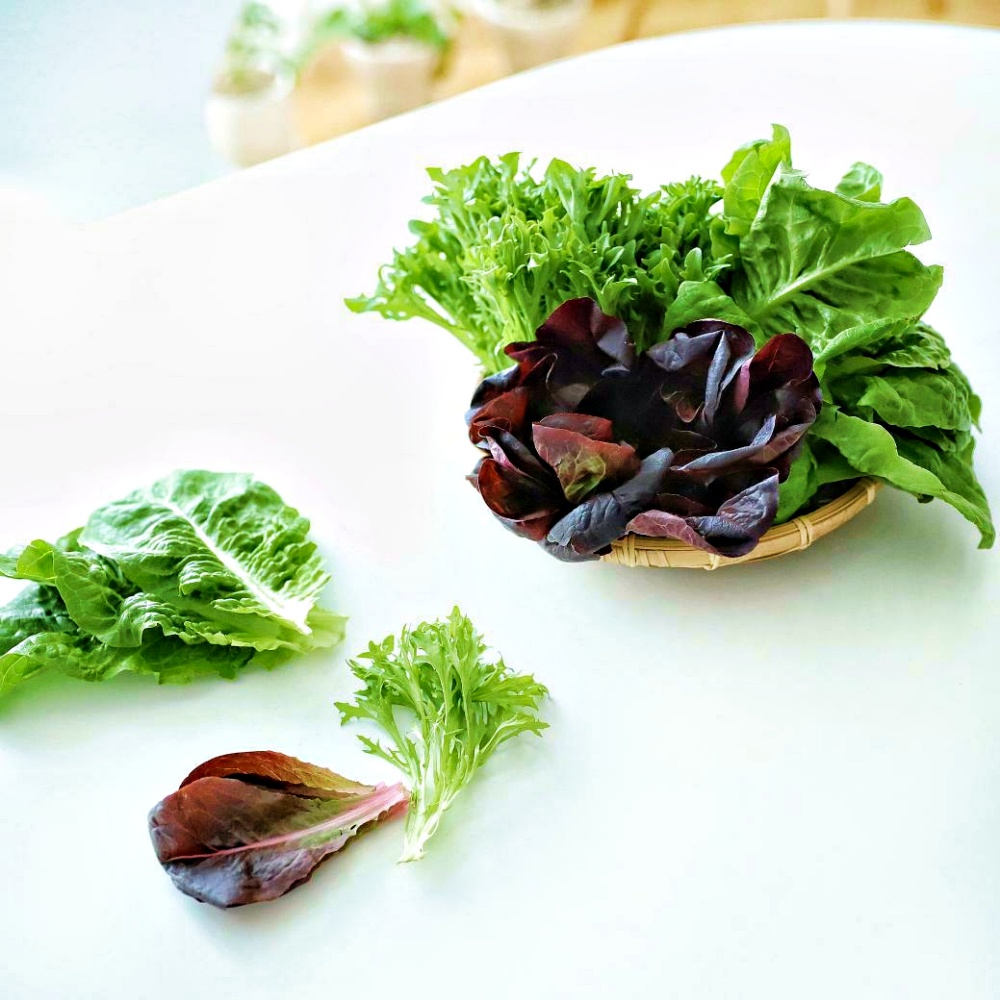 [정기구독]농장직송 프리미엄 유러피안 샐러드 1KG 정기배송 - 상세 이미지 2