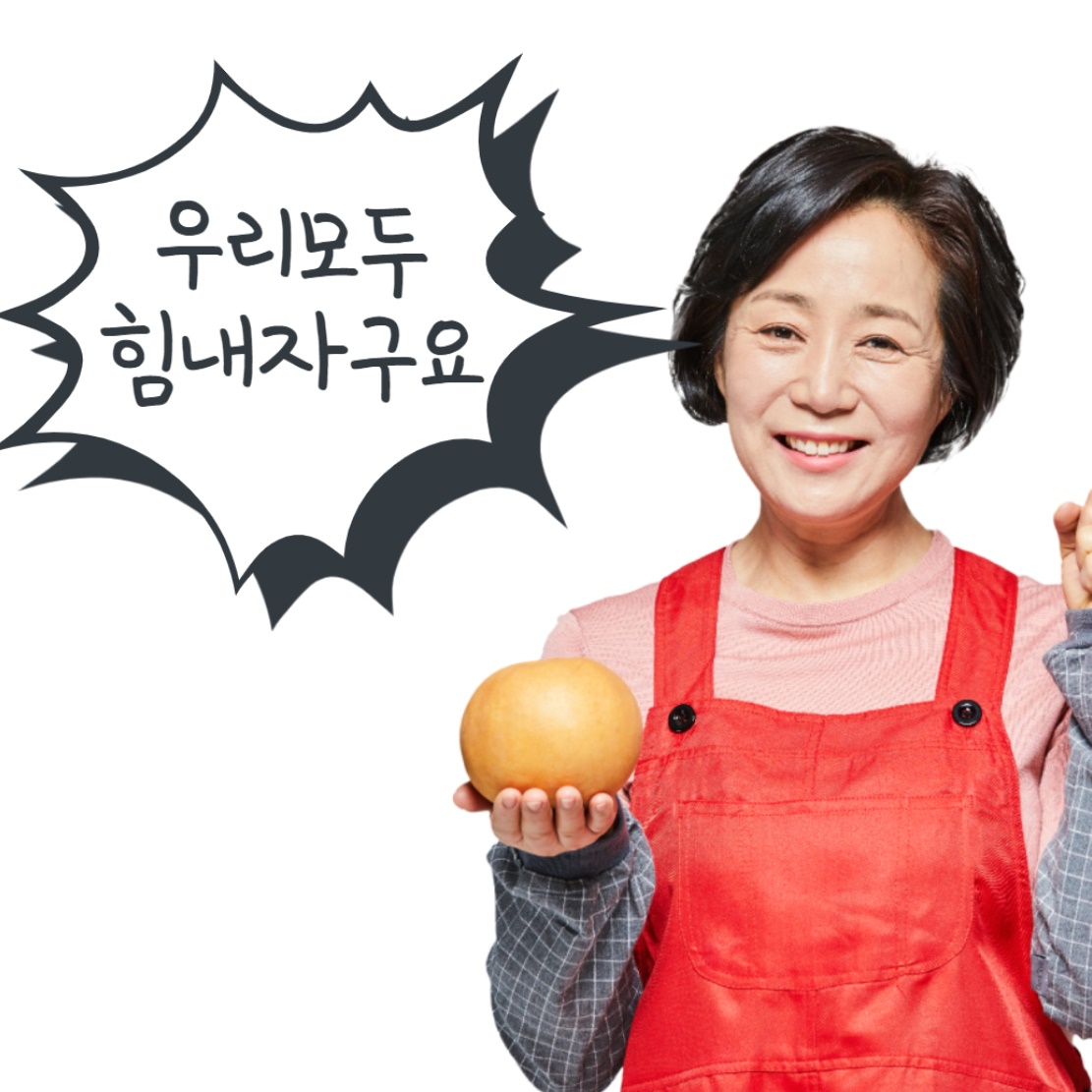 주방 마스크 주방용 마스크 요리 위생용 급식 입가리개 - 상세 이미지 4