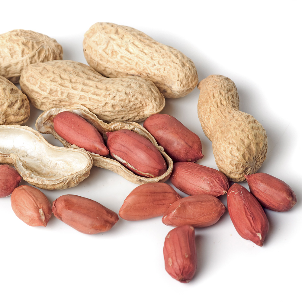 고소한 햇 볶음 땅콩 1kg+1kg - 상세 이미지 5