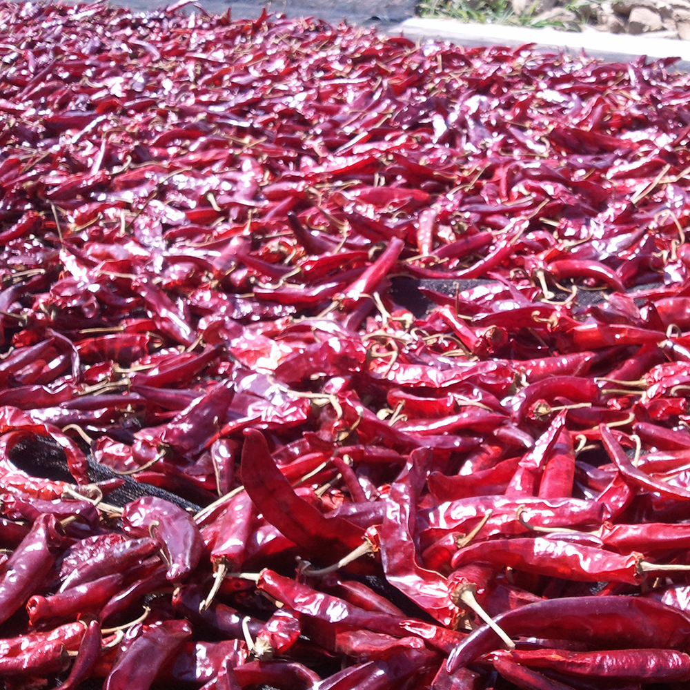 정경아 찹쌀 고추장 조청 재래식 전통 국산 소고기볶음용 초고추장 초장 찌개 떡볶이 - 상세 이미지 4