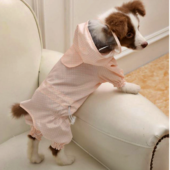 강아지 올인원 우비 반려견 우의 개우비 소형견 비옷 중형견