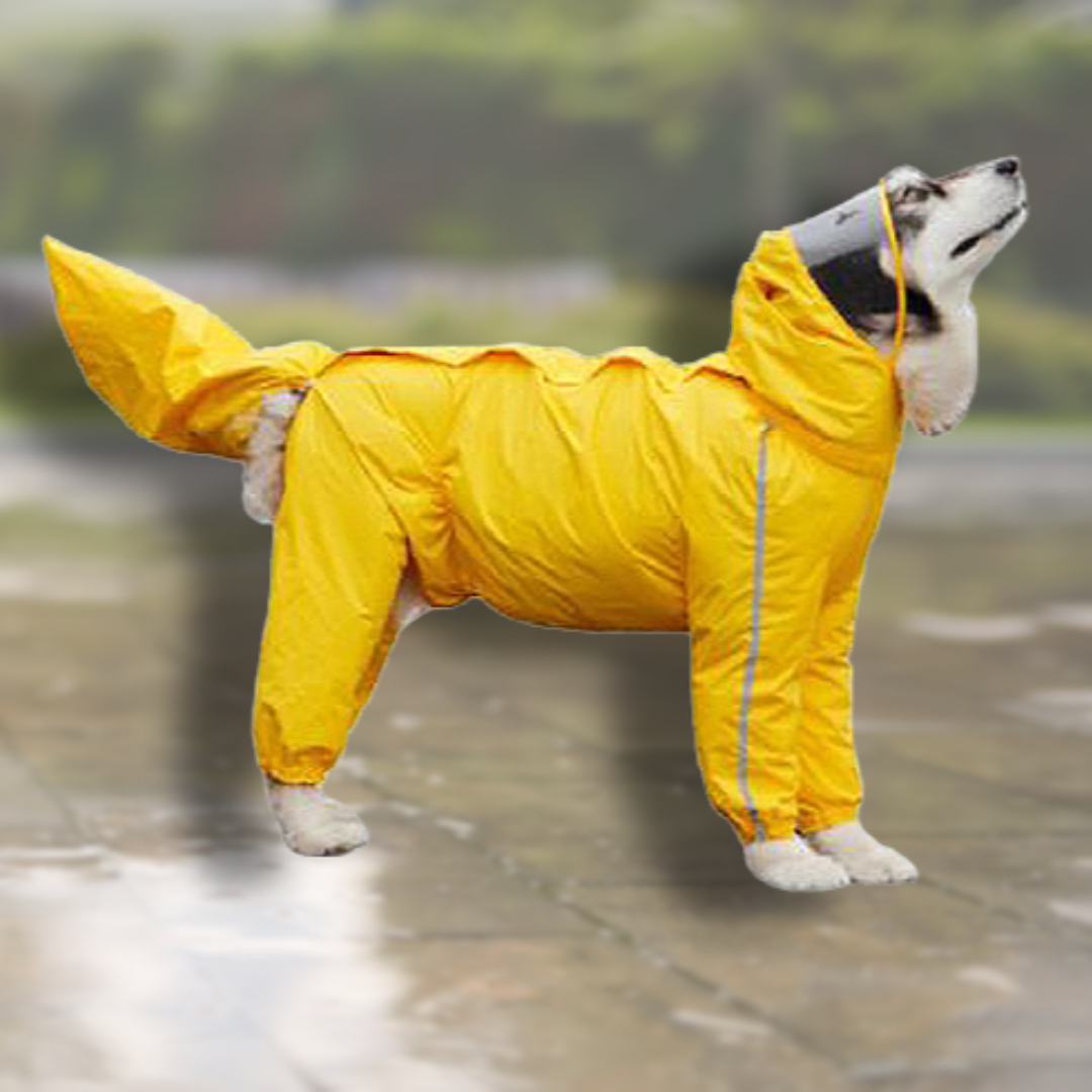 대형견 우비 강아지 올인원 비옷 반려견 개 산책 우의 8XL
