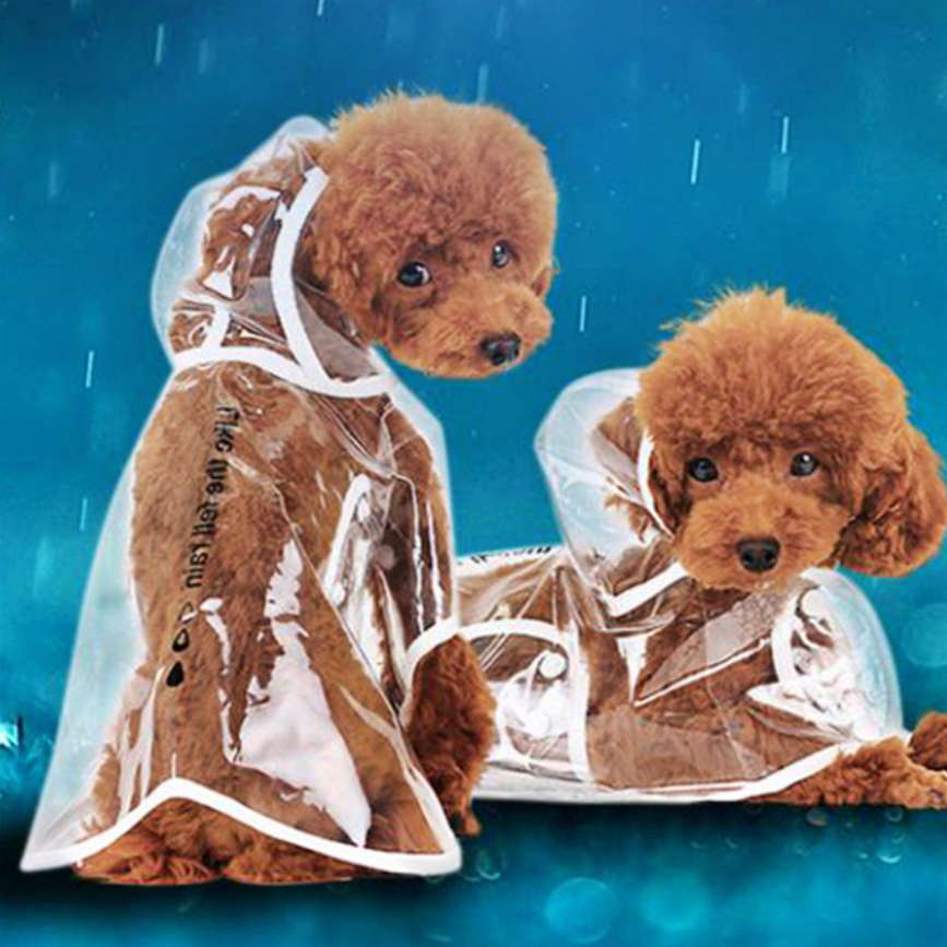 강아지 올인원 우비 반려견우의 개비옷 비올때