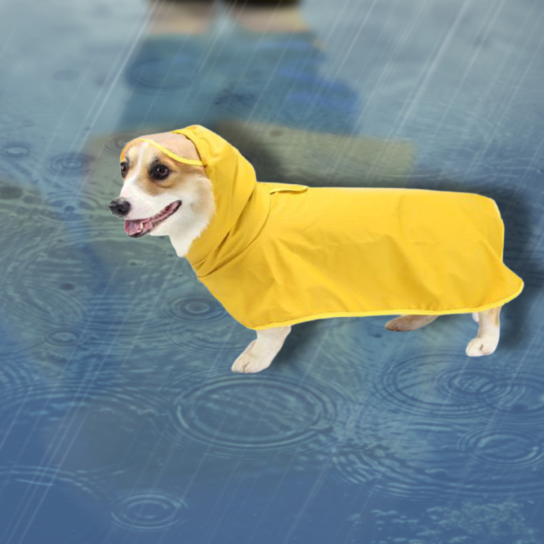 강아지 올인원 우비 반려견우비 개 비옷 소형견 중형견 산책