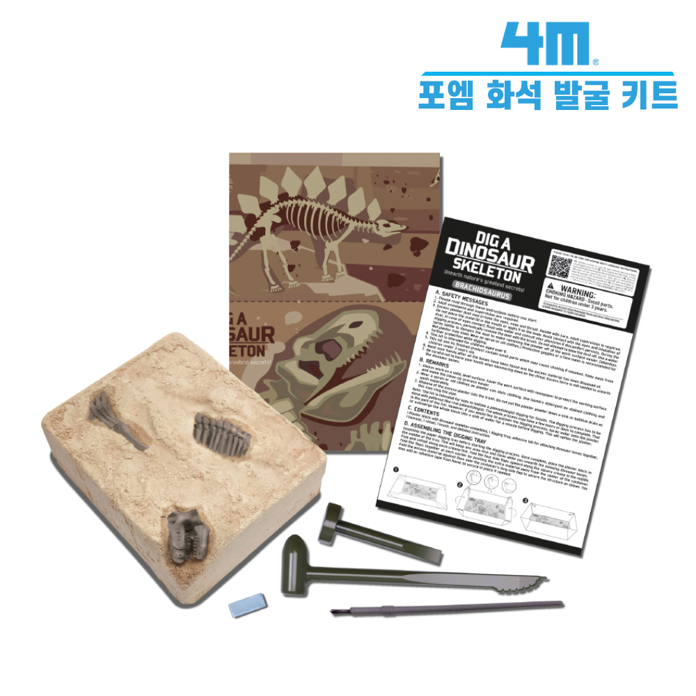 4M 포엠 공룡 화석 발굴 키트 브라키오사우루스 - 상세 이미지 2