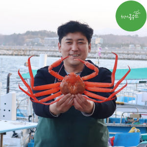 속초 홍게 살 붉은대게 제철 박달홍게 자숙 홍개 해각포 1kg 3kg 맛있게 먹은 솔직 후기 - 상품 이미지 1