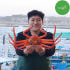 속초 홍게 살 붉은대게 제철 박달홍게 자숙 홍개 해각포 1kg 3kg 맛있게 먹은 솔직 후기 썸네일