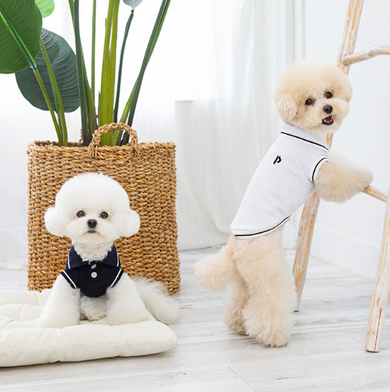 강아지 옷 봄옷 애견옷 여름 데일리 에떼카라티셔츠 - 상품 이미지