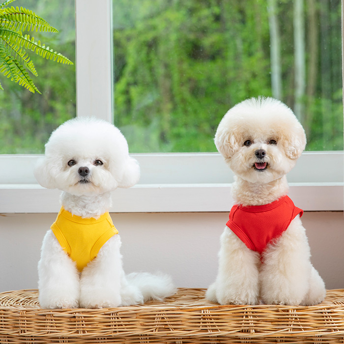 강아지옷 강아지 실내복 겨울옷 티셔츠 팝컬러