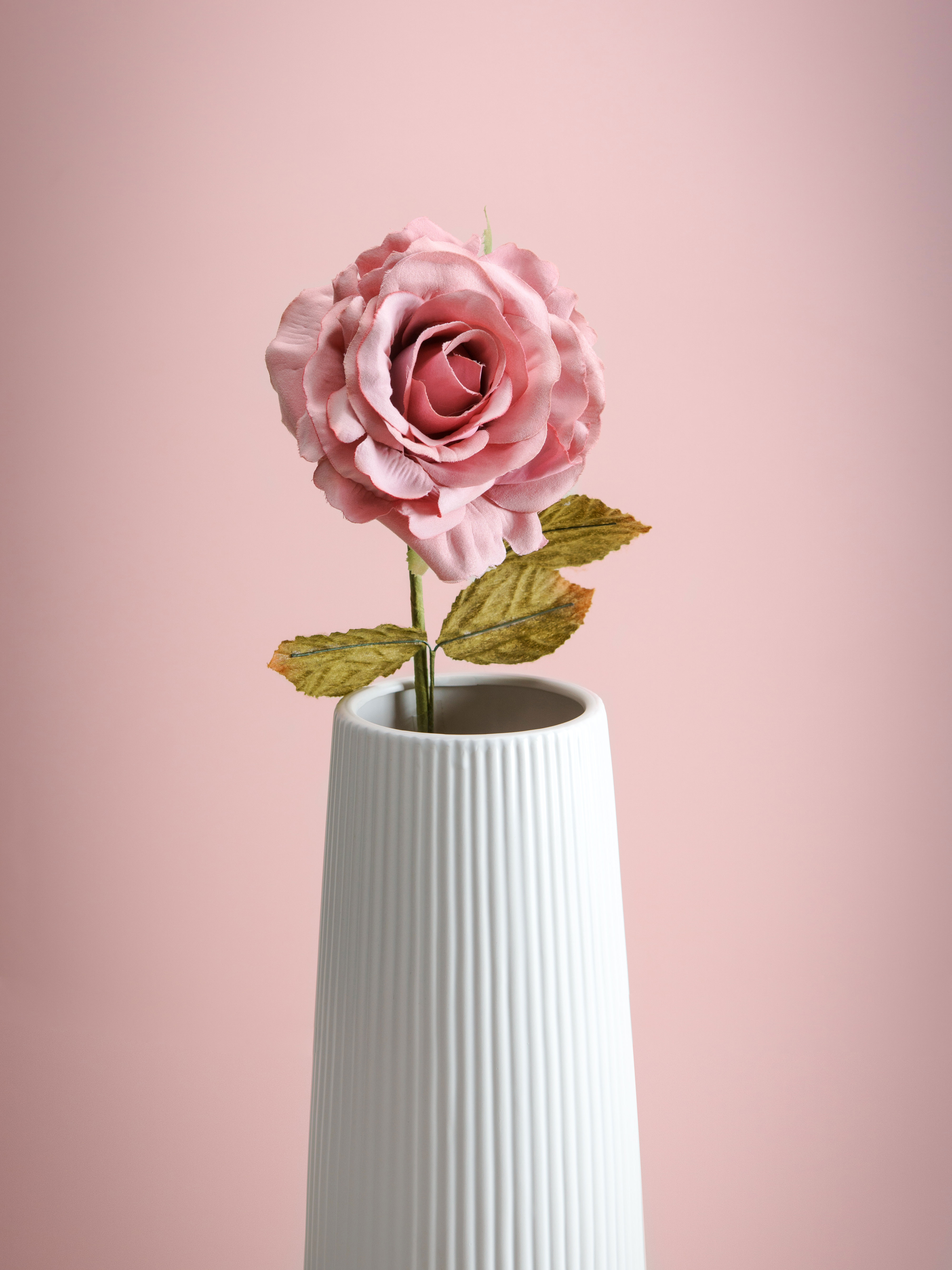 달리아5 인테리어 오브제 꽃병(3size / 2color) 이미지 7