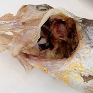 반건조 조기 5미 말린 부세 마른 제수용 제사 생선 보리 굴비 선물 부서... 맛있게 먹은 솔직 후기 - 상품 이미지 3