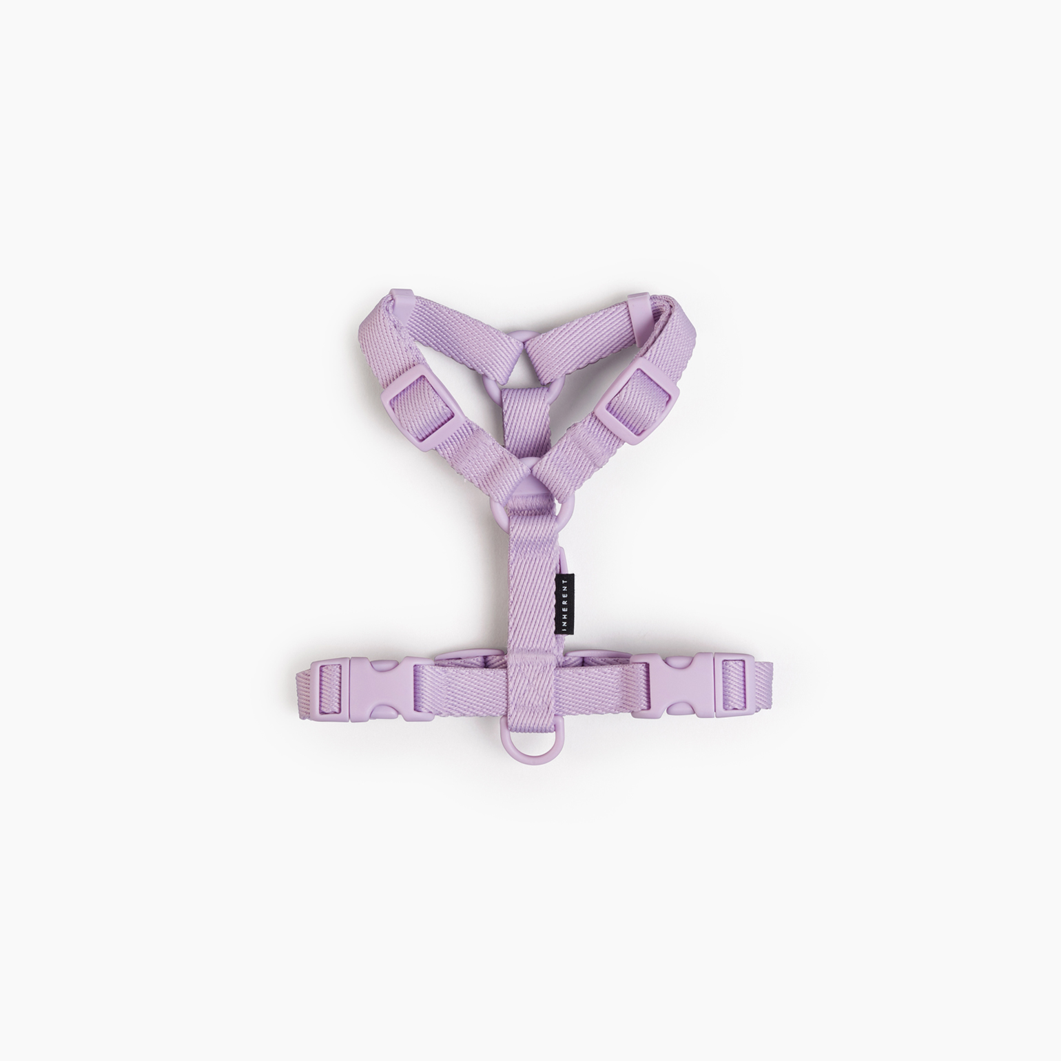 인히어런트 강아지하네스 코랄S 이미지 4