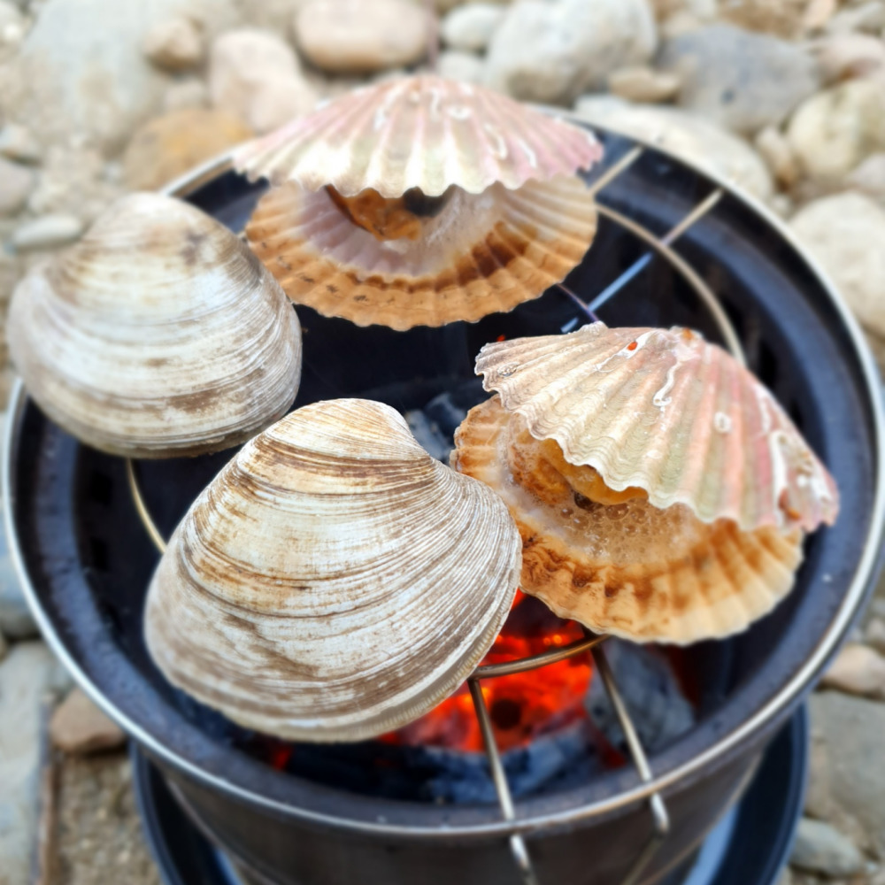 우주캠핑 전용 오덕 띄우개 우드스토브 대형 20 난로 조개구이 군고구마
