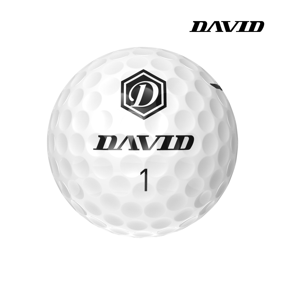 데이비드 고반발 골프공 P1 비거리 장타 골프볼 T라인 퍼팅정렬 20개입, 화이트