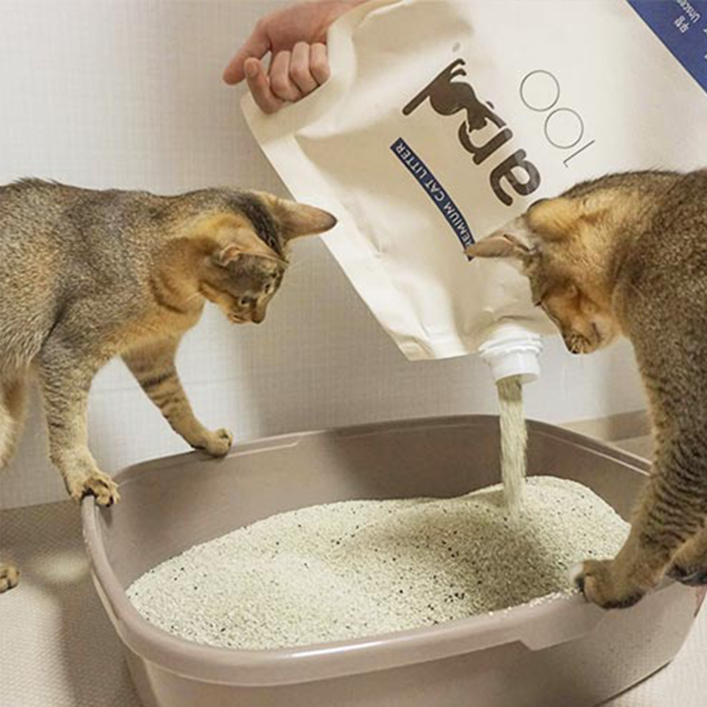 [정기구독1등] 샌드백모래 프리미엄 9kgx2팩 벤토나이트 먼지 냄새 없는 고양이모래