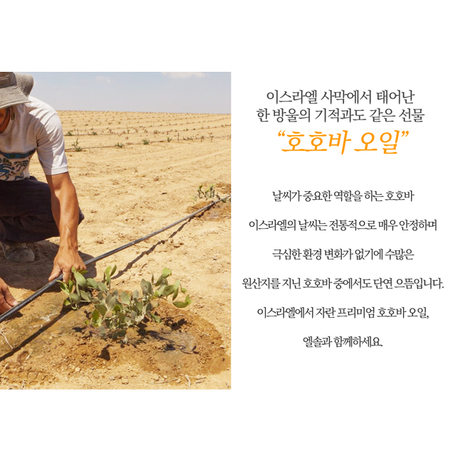 상떼 엘솔 부스팅 오일 50ml 100% 천연호호바오일 - 상세 이미지 4