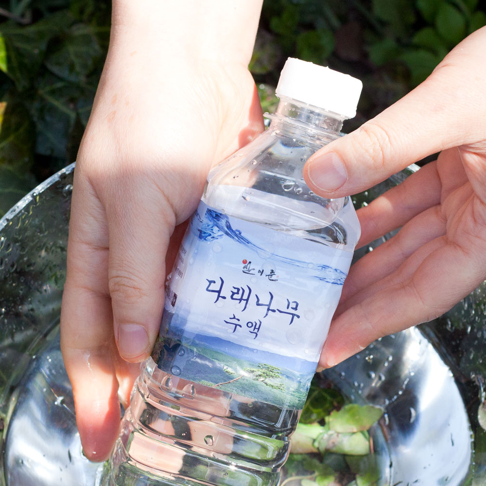 다래수액 나무 자연산 국내산 야생 직접채취 500mlx20병 - 상품 이미지