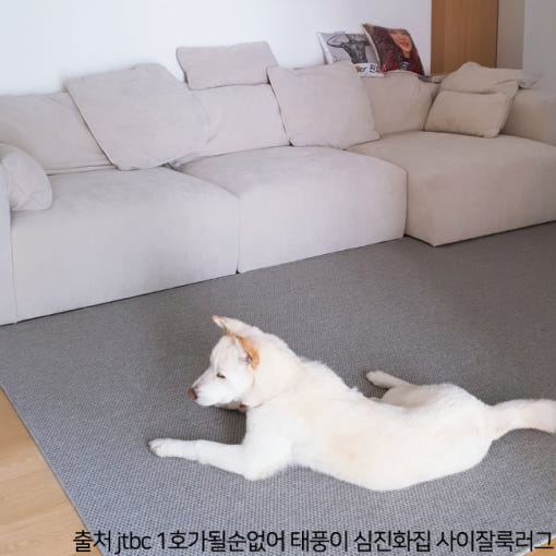 thumbnail-7