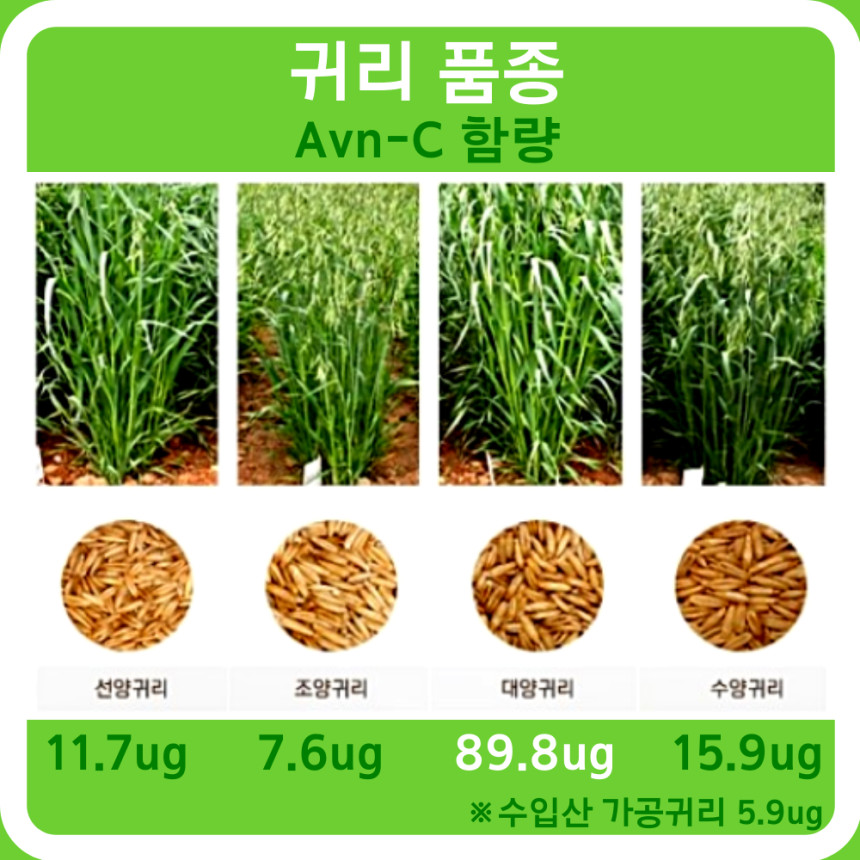 대양개발 이미지