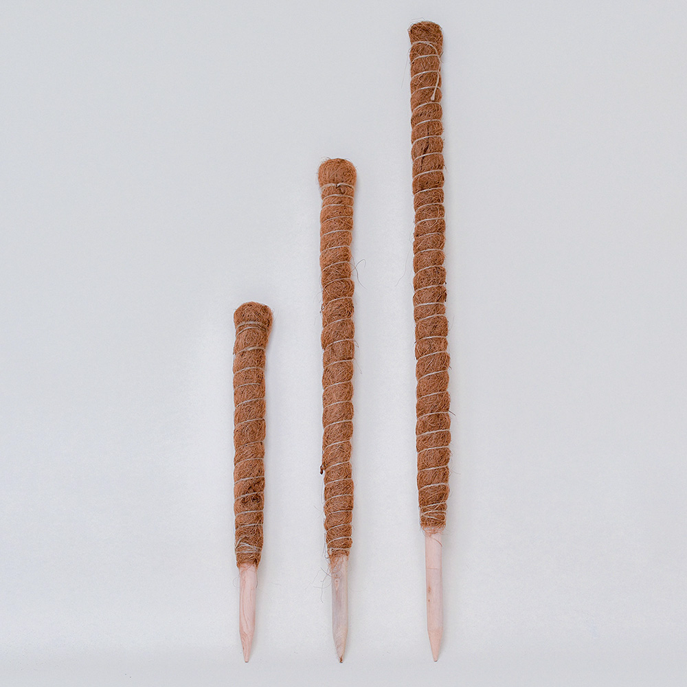 수태봉 식물지지대 코코봉 몬스테라 연결형 30cm - 상세 이미지 2