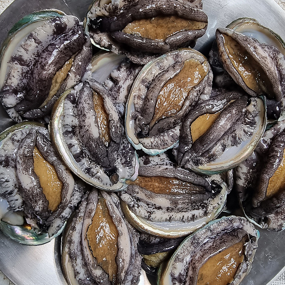 프레쉬하임 완도 활 전복 1Kg 산지직송 산소포장