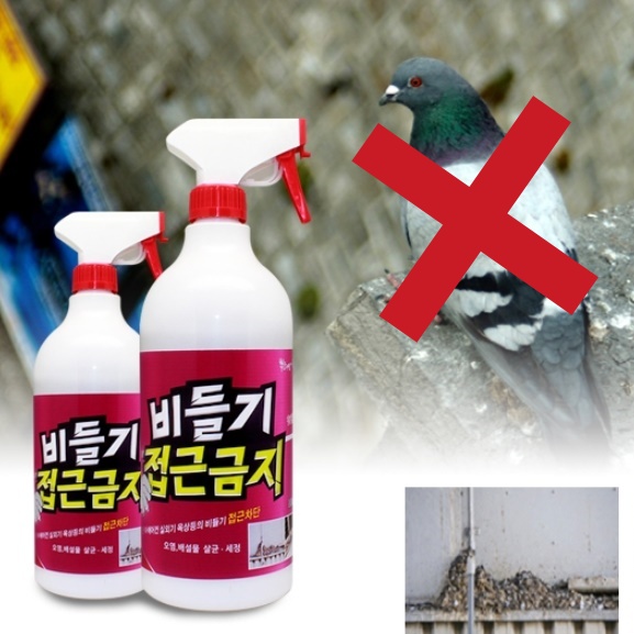 비둘기퇴치제 비둘기기피제 비둘기 접근금지 비들기 오염 배설물 살균제거 제균 참새 저리가 - 상품 이미지