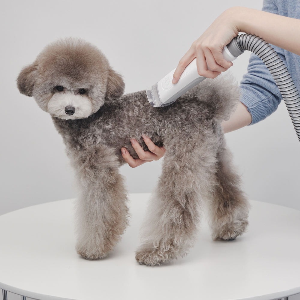 미는 즉시 털을 꿀꺽 5in1 스마트진공미용기 럽마이펫 강아지 고양이 이발기 이미지 2