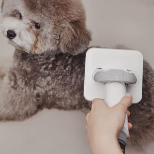 미는 즉시 털을 꿀꺽 5in1 스마트진공미용기 럽마이펫 강아지 고양이 이... 솔직 후기 | 실제 사용자 리뷰 총정리 - 상품 이미지 3