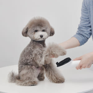 미는 즉시 털을 꿀꺽 5in1 스마트진공미용기 럽마이펫 강아지 고양이 이... 솔직 후기 | 실제 사용자 리뷰 총정리 - 상품 이미지 4