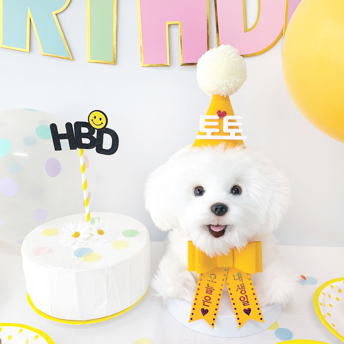 [무료배송] 강아지 고양이 스마일 생일파티세트 - 상세 이미지 2