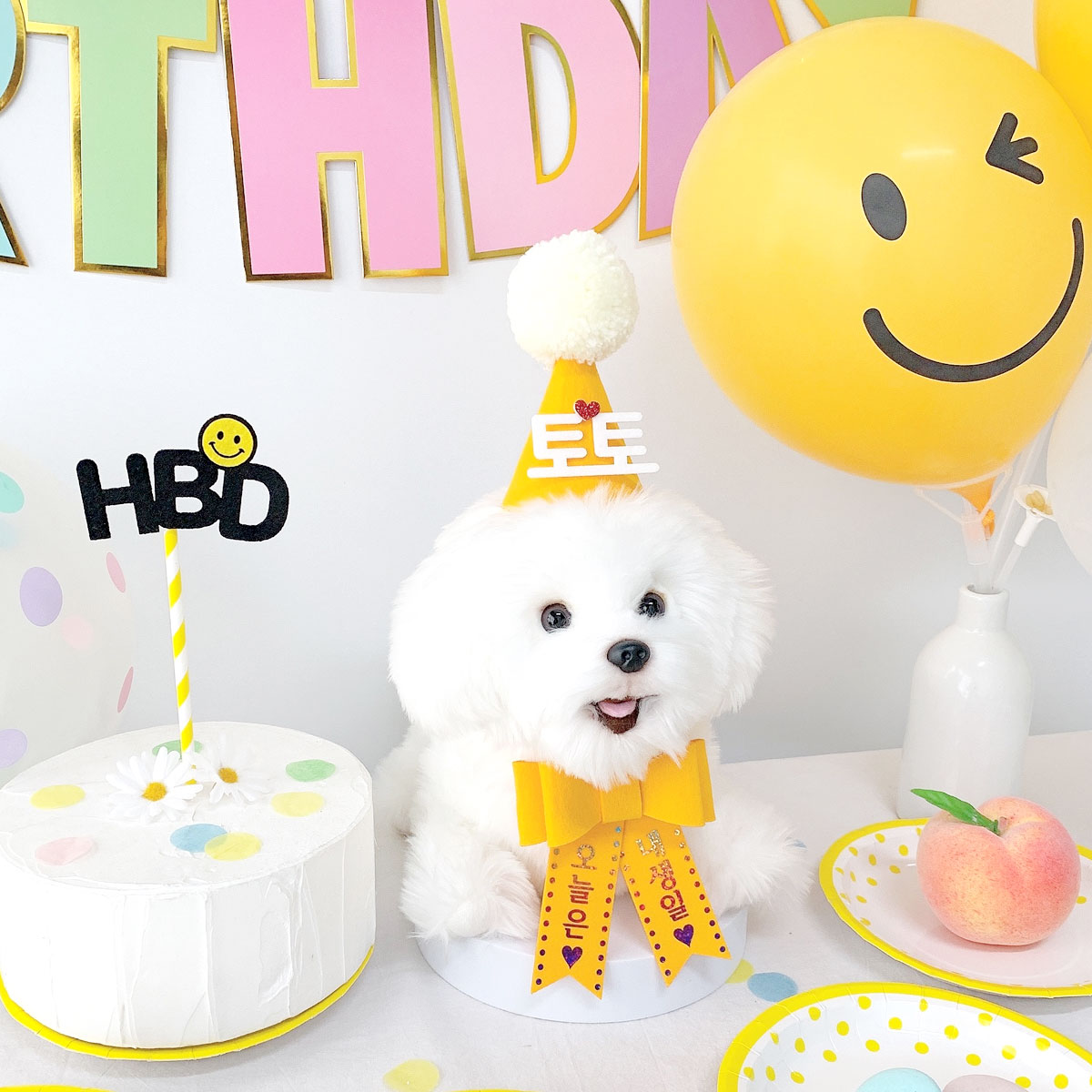 [무료배송] 강아지 고양이 스마일 생일파티세트 - 상세 이미지 5