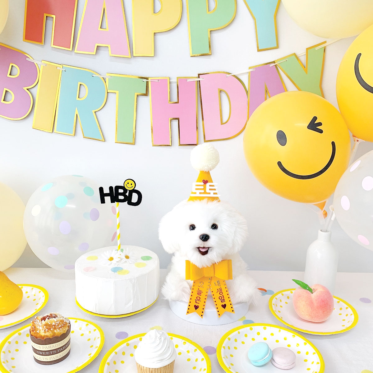 [무료배송] 강아지 고양이 스마일 생일파티세트