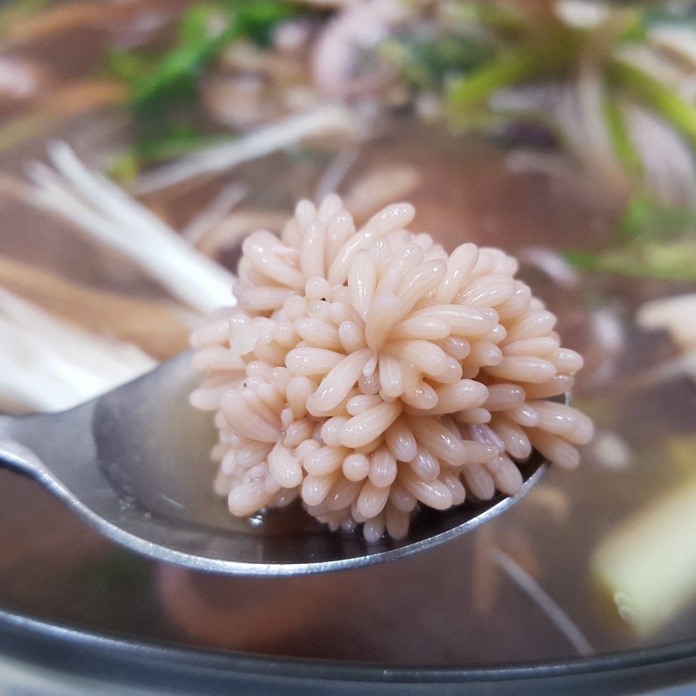 생물 주꾸미 쭈꾸미 500g 서해안 쭈꾸미 국산주꾸미 생쭈구미(조업당일발송상품) - 상세 이미지 3