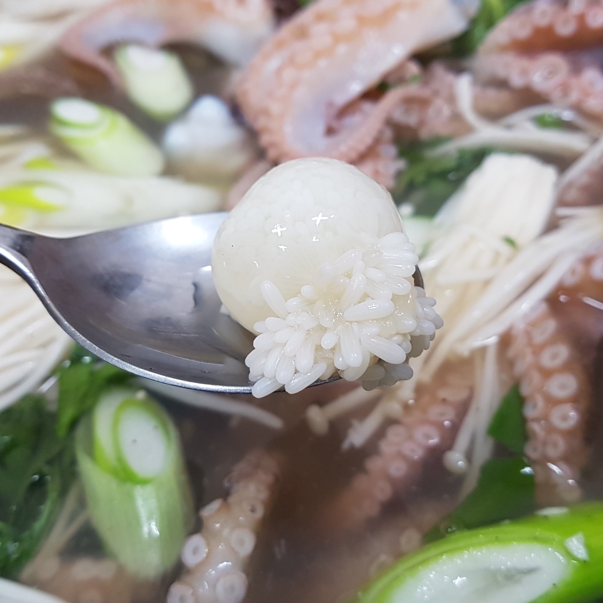 생물 주꾸미 쭈꾸미 500g 서해안 쭈꾸미 국산주꾸미 생쭈구미(조업당일발송상품) - 상세 이미지 2