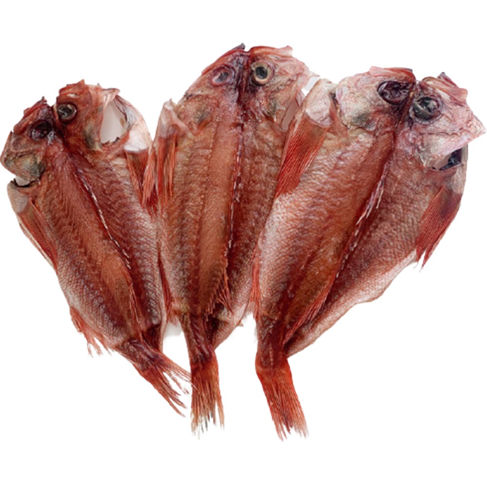 속초 덕장운영 반건조 장문 볼락 3미 생선 뽈락 손질 마른 말린 제수용 열기 적어