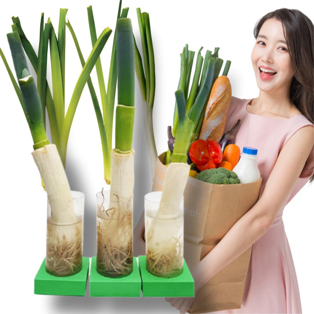 집에서 대파 키우기 대파수경재배 홈가드닝 텃밭화분 예쁜 채소 야채 미니 모종 스탠드 - 메인 이미지