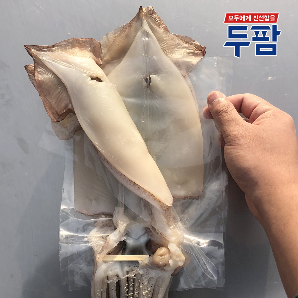 당일바리 동해 피데기 반건조오징어 5마리 포항 반건오징어 - 상세 이미지 2