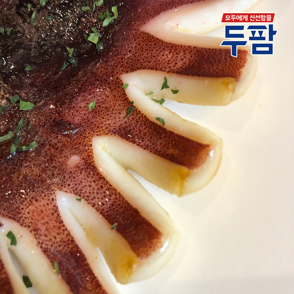 당일바리 동해 피데기 반건조오징어 5마리 포항 반건오징어 - 상세 이미지 5