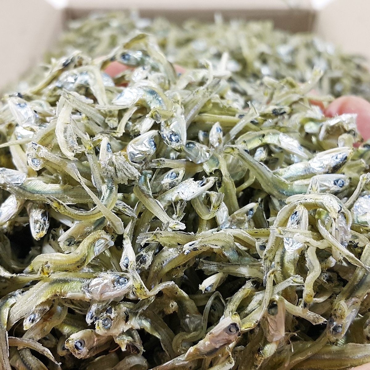 국내산 상급 가이리멸치 잔멸치 볶음멸치 자멸 볶음용 멸치 1.5kg, 1개 - 상품 이미지