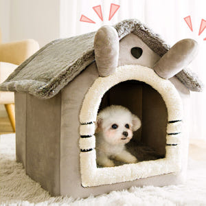 강아지 하우스 고양이 숨숨집 텐트 침대 동굴집 세모지붕하우스 회색 중형 솔직 후기 | 실제 사용자 리뷰 총정리 - 상품 이미지 1