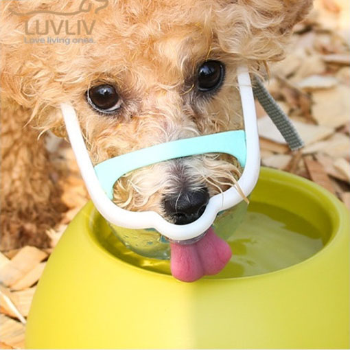 강아지 입마개 투명 루브립 베리 화이트 S 반려견 애견 소형견 마우스핏 산책 훈련