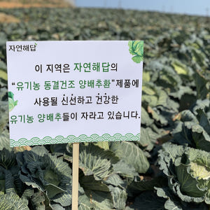 자연해답 유기농 동결건조 양배추환 스틱 100% 1박스(3g x 30포)... 맛있게 먹은 솔직 후기 - 상품 이미지 2