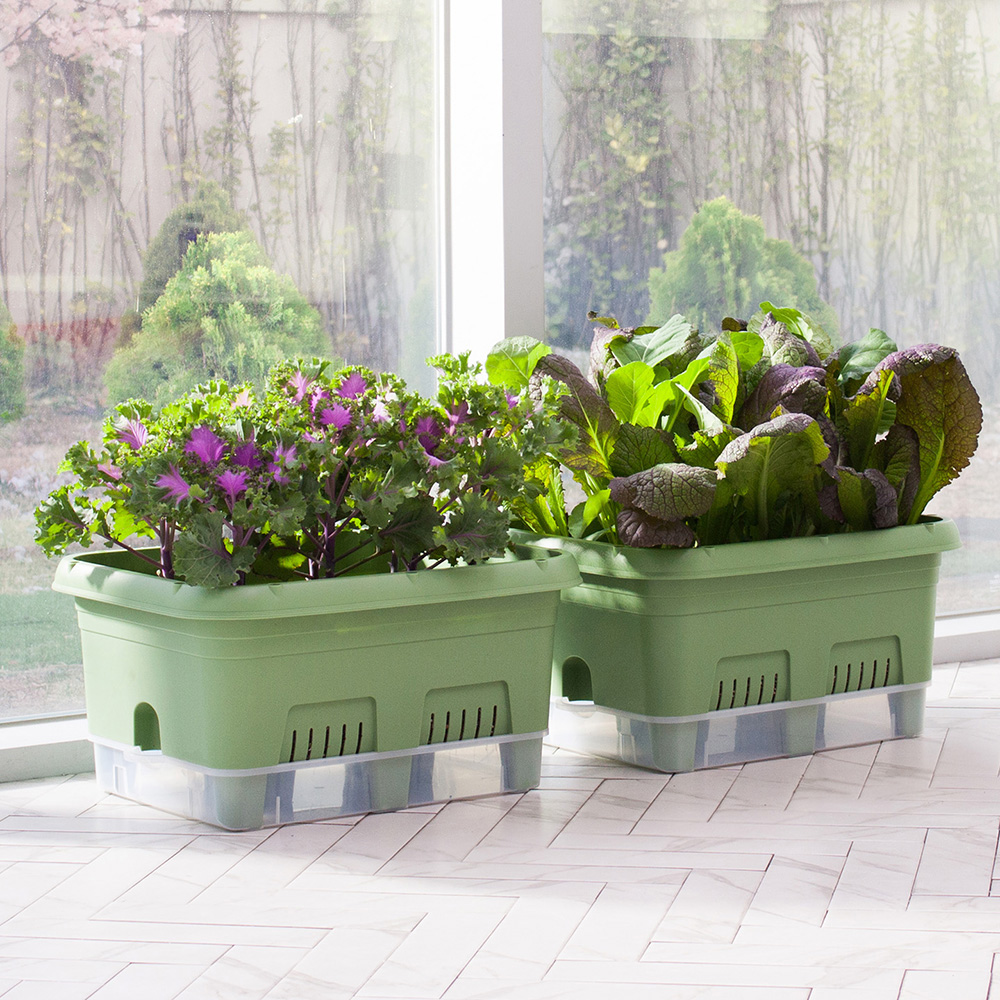 대용량 텃밭화분30리터+배양토20리터 세트 저면관수 홈가드닝 상추키우기 대파 배란다텃밭