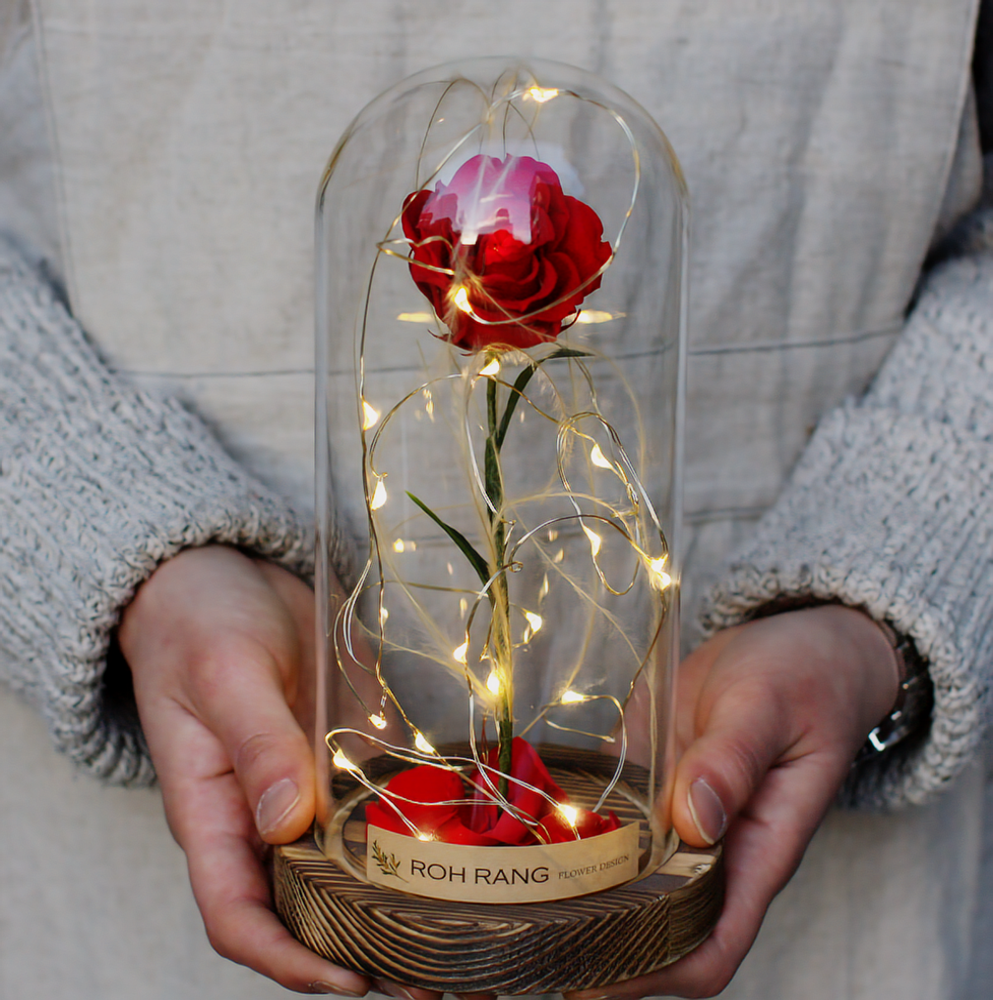 벨스로즈 드라이플라워 프리저브드 장미 유리돔 고백선물 실사용 후기 | 효과 있을까? - 대표 이미지