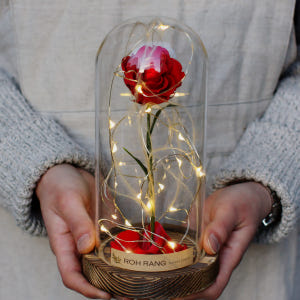 벨스로즈 드라이플라워 프리저브드 장미 유리돔 고백선물 실사용 후기 | 효과 있을까? - 상품 이미지 1