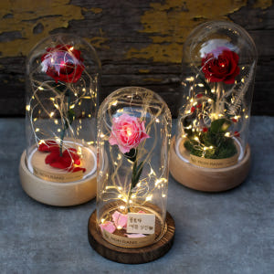 벨스로즈 드라이플라워 프리저브드 장미 유리돔 고백선물 실사용 후기 | 효과 있을까? - 상품 이미지 2